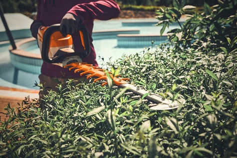 STIHL INCREASED SALES IN 2024